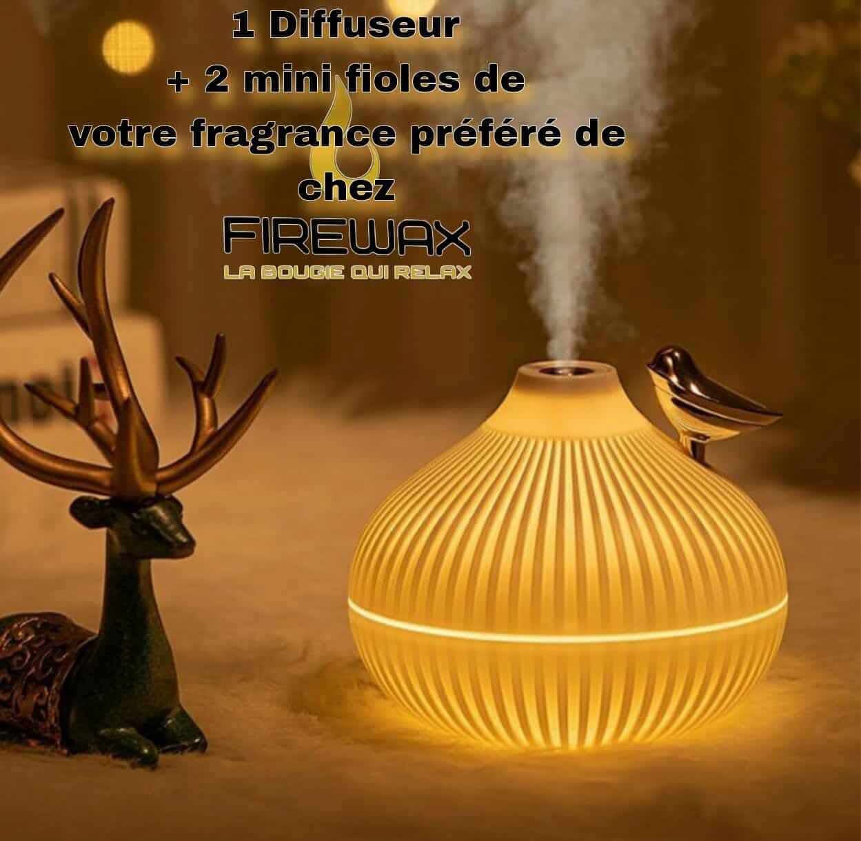 Diffuseur + 2 fioles