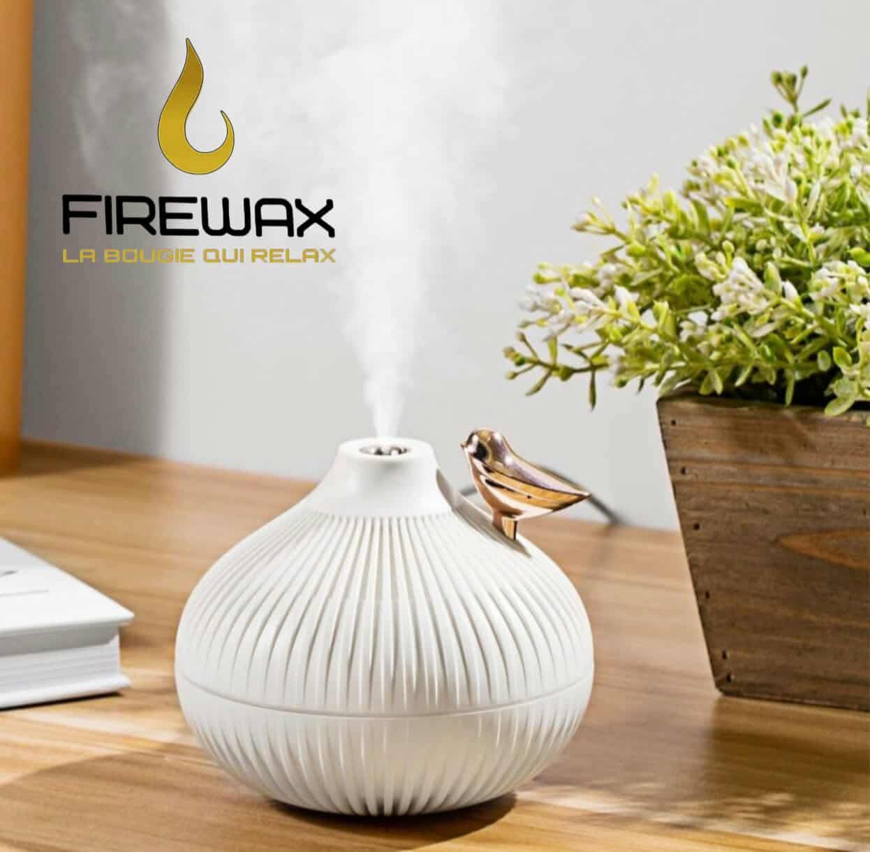 Diffuseur + 2 fioles